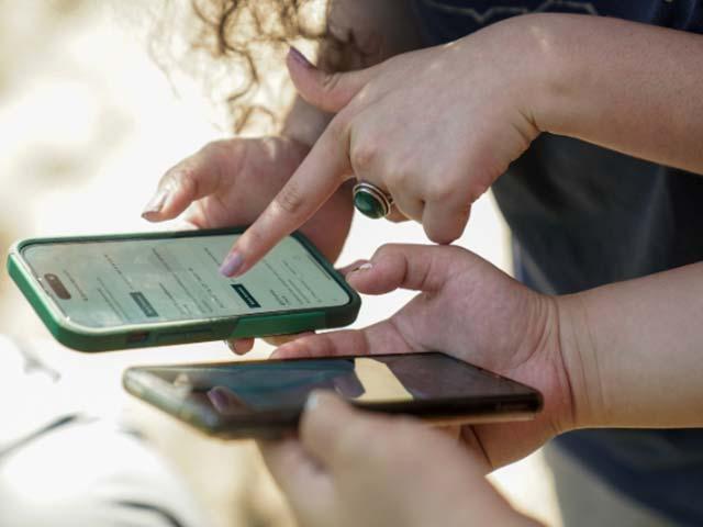 person using a cell phone