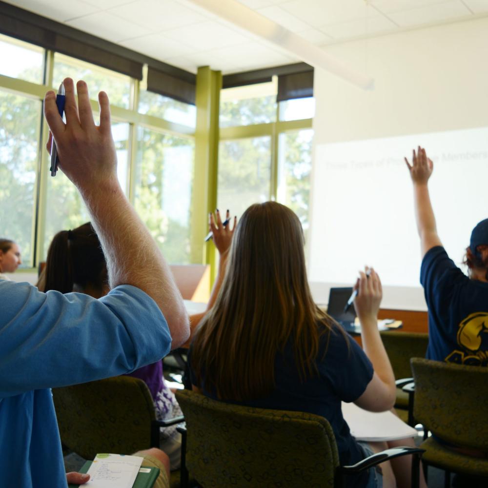 students at a workshop